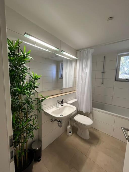 קרלסרוהה City Appartement Direkt Am Schloss! מראה חיצוני תמונה