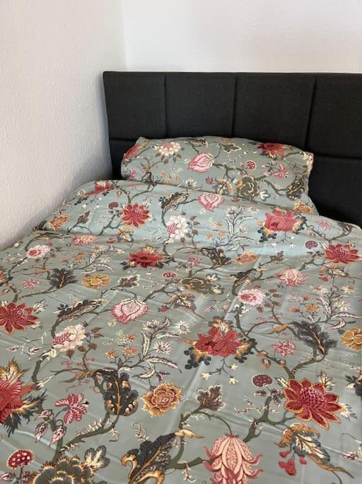 קרלסרוהה City Appartement Direkt Am Schloss! מראה חיצוני תמונה