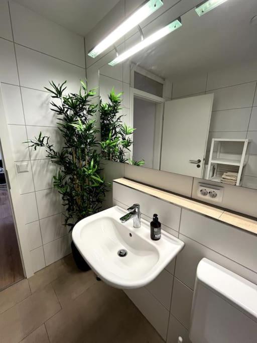 קרלסרוהה City Appartement Direkt Am Schloss! מראה חיצוני תמונה